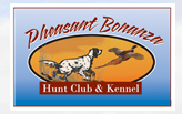 Pheasant Hunting